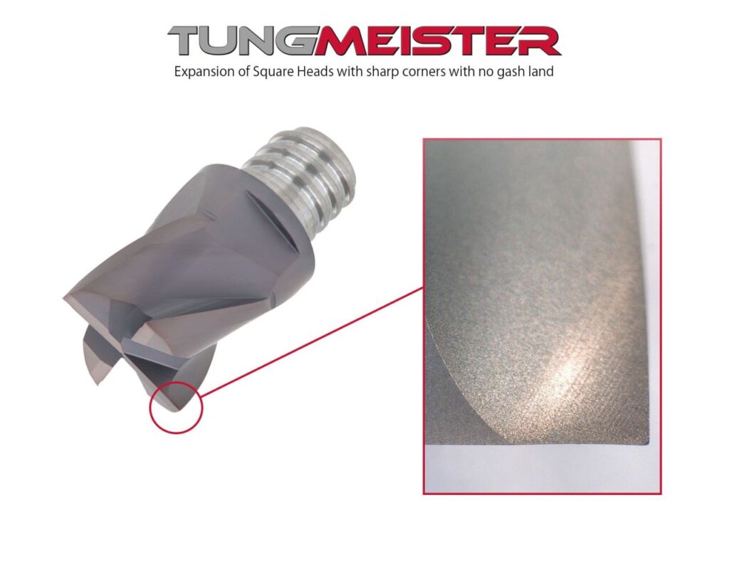 Square Head TungMeister